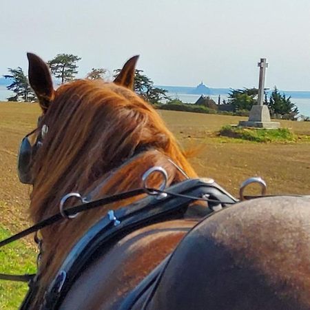 Chez Jollyjune, A Moins D'Une Heure Du Mont Saint Michel Champeaux 外观 照片