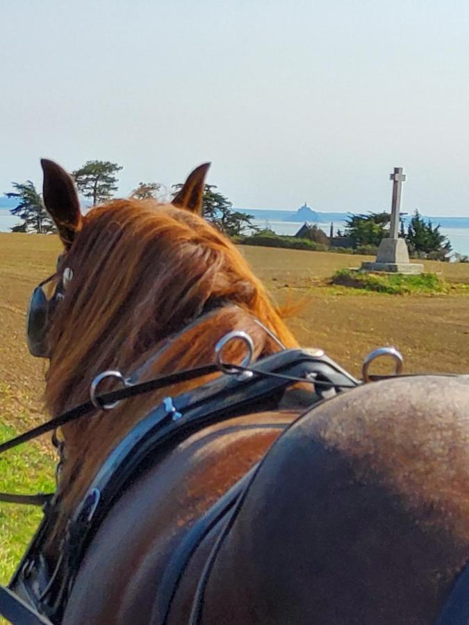 Chez Jollyjune, A Moins D'Une Heure Du Mont Saint Michel Champeaux 外观 照片