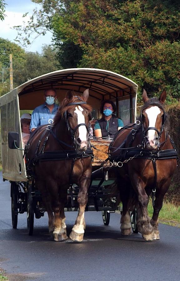 Chez Jollyjune, A Moins D'Une Heure Du Mont Saint Michel Champeaux 外观 照片